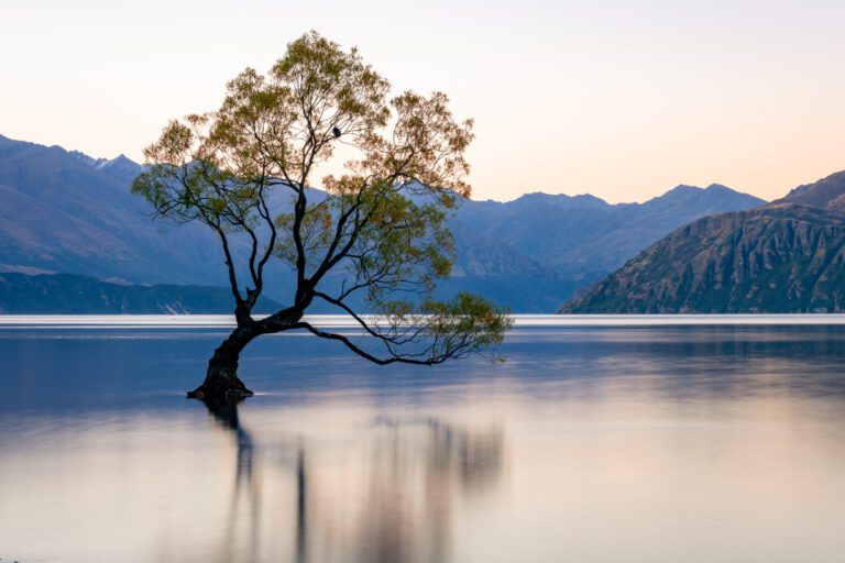Gluten Free Wanaka: The Complete Travel Guide for Celiacs
