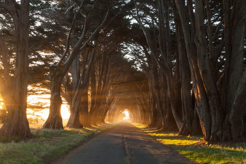 cool day trips from san francisco