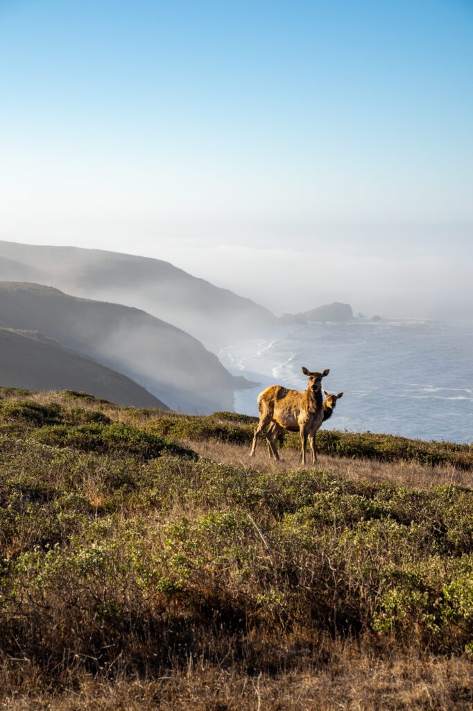 cool day trips from san francisco