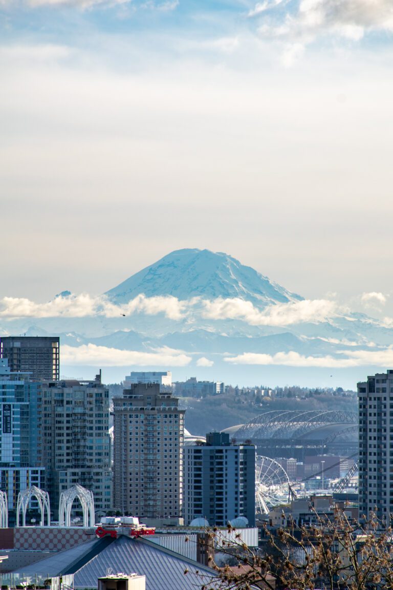 The 19 Best Airbnbs in Seattle, Washington
