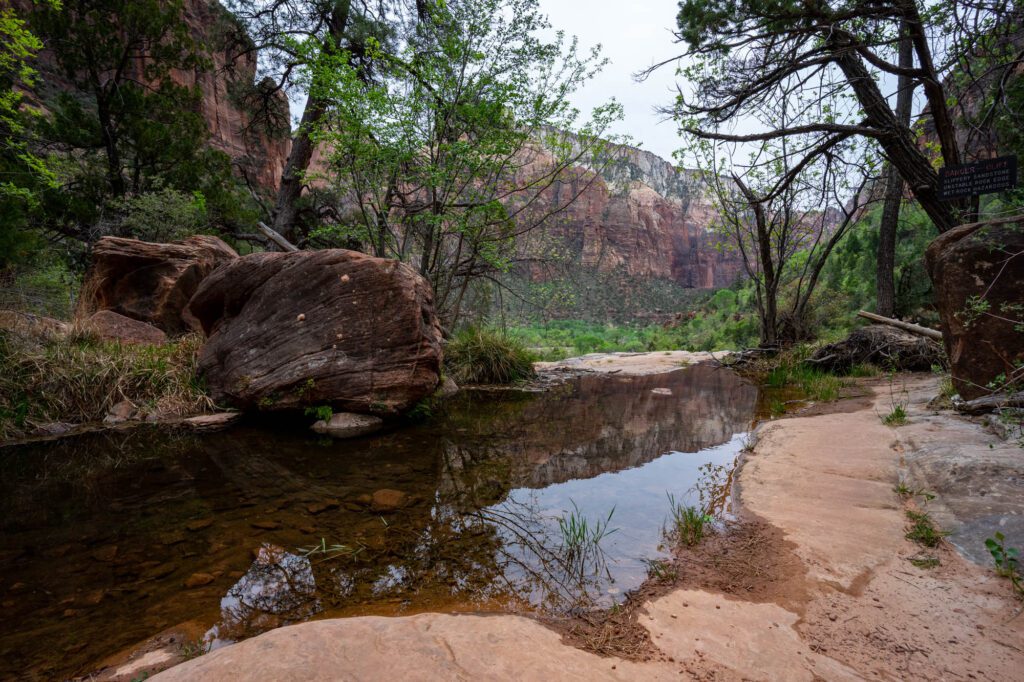 family trip to zion national park