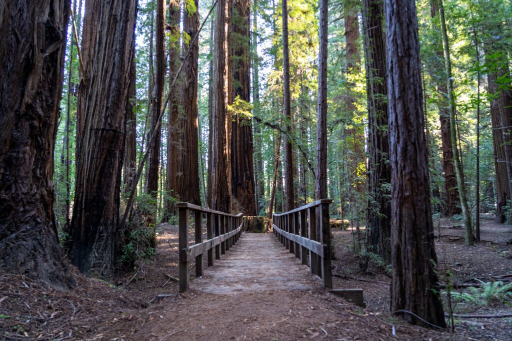 day trips in northern california