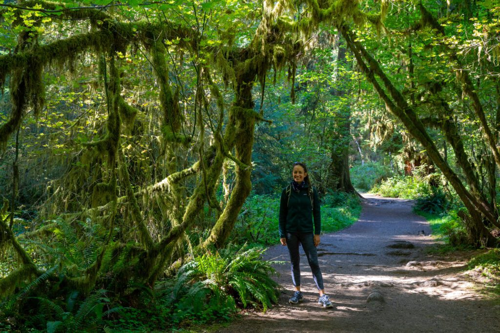 visit olympic national park