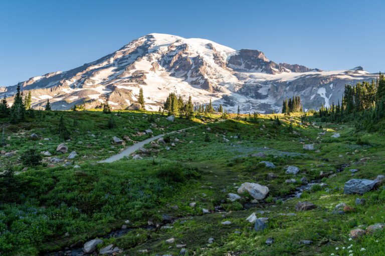 How to Hike the Incredible Skyline Trail at Mt. Rainier