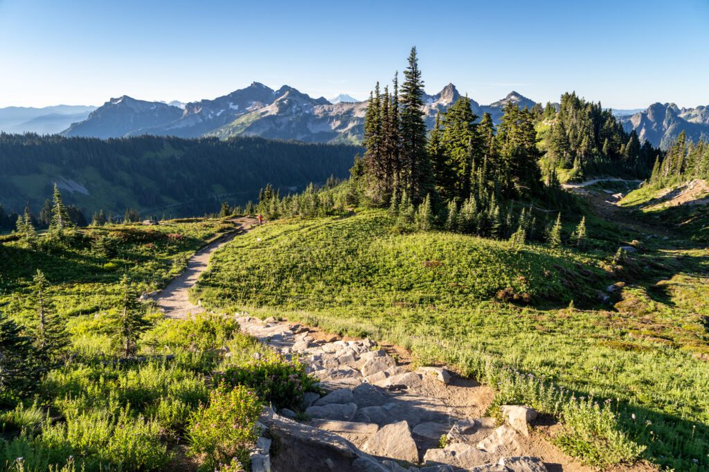 The Tatoosh Range and Mount Adams from the Skyline Trail