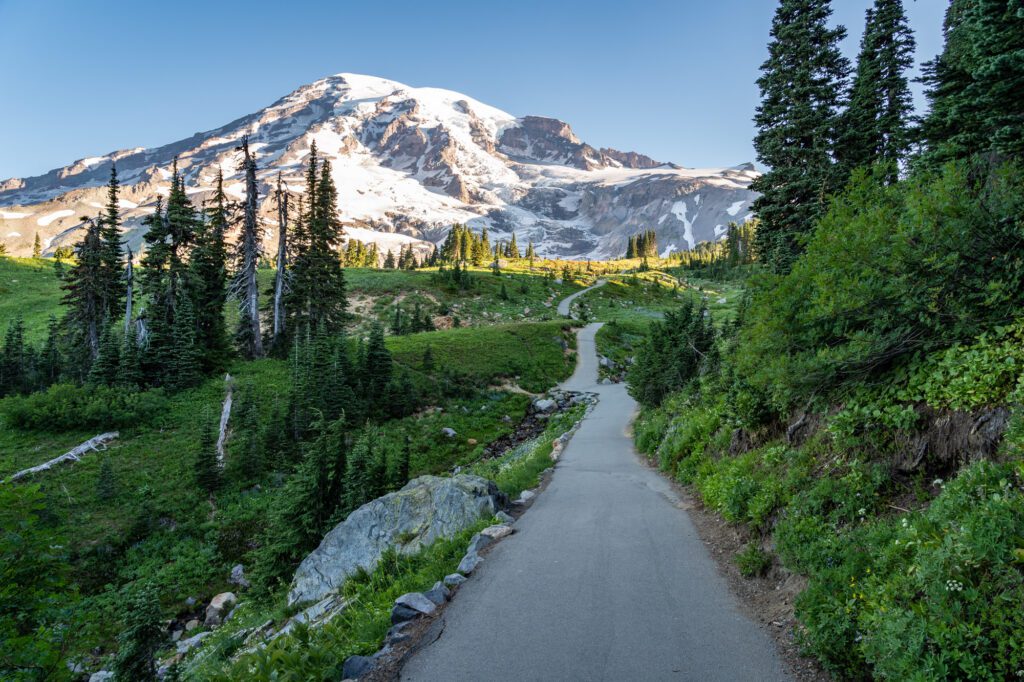The Skyline Trail pointing straight at Mount Rainier