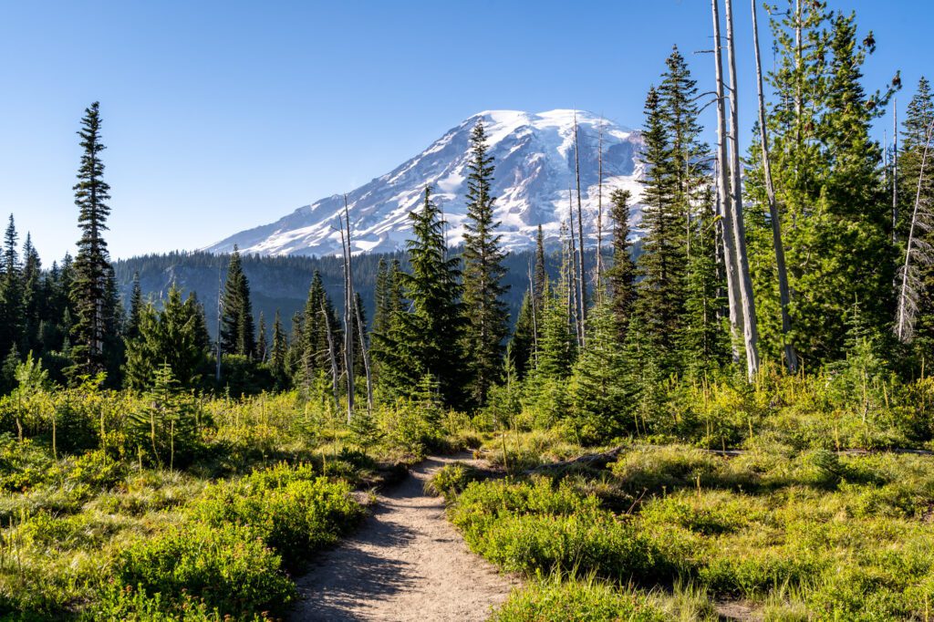 Views of Rainier along the Bench and Snow Lakes Trail