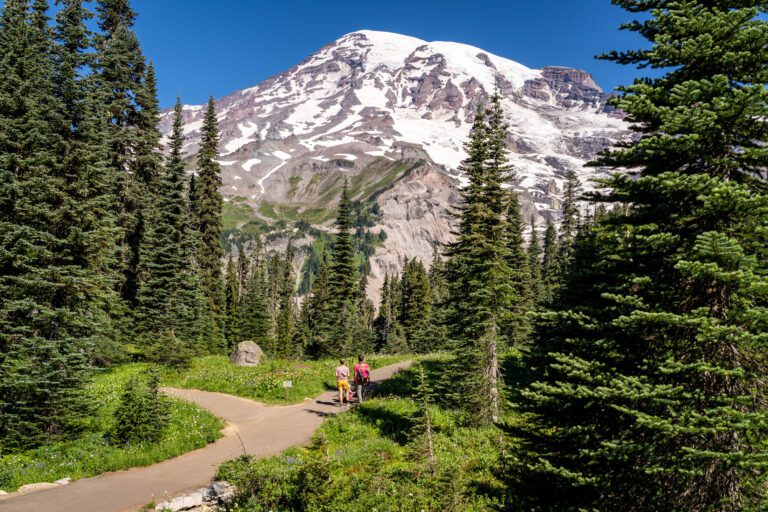 Visiting Mount Rainier National Park: What You Need to Know 