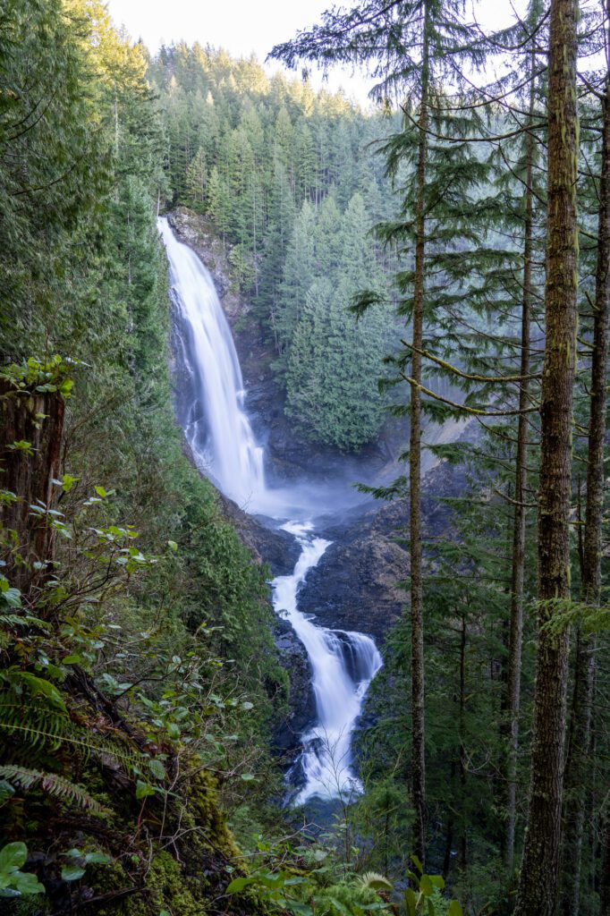 Hiking Near Seattle: A Complete Guide (23 Great Hikes + Map)