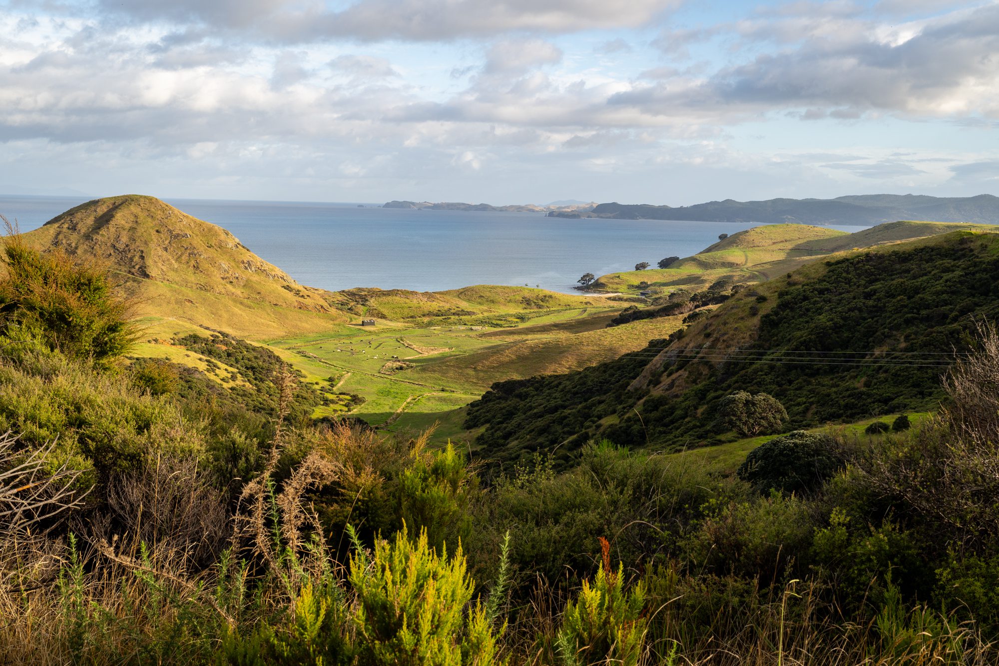 How to Plan an Amazing New Zealand North Island Itinerary