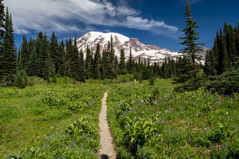 What to Do at Mount Rainier: Complete Guide for First Timers